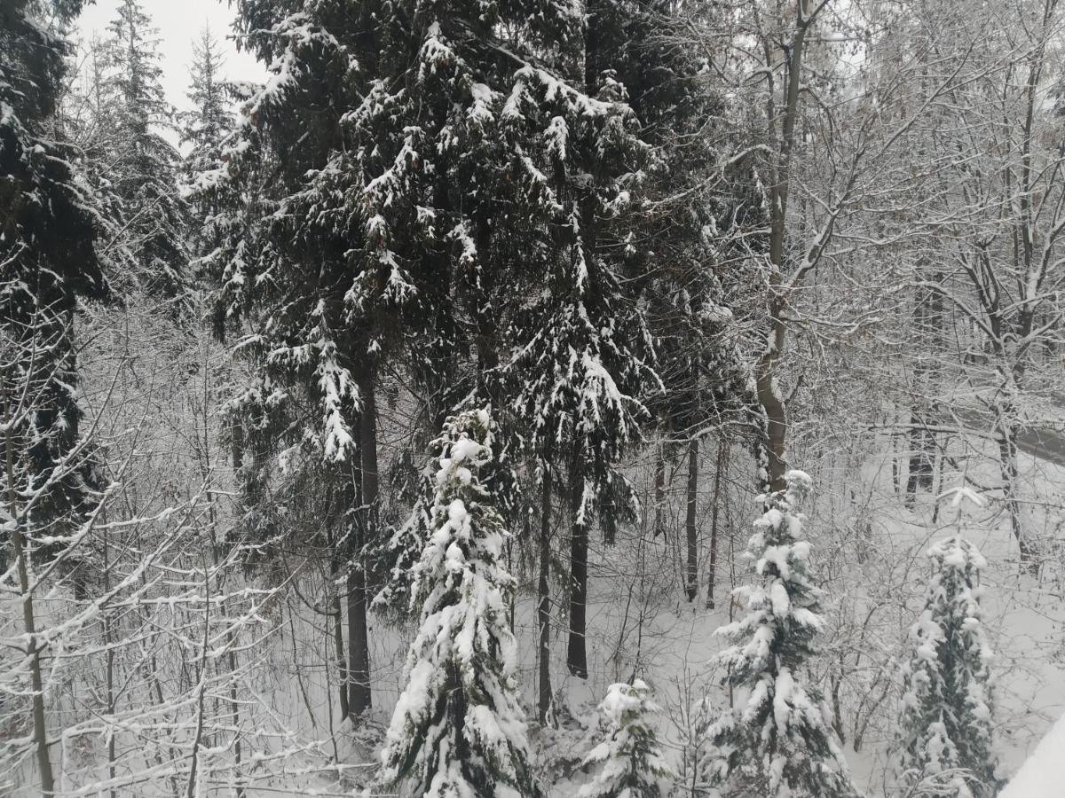 Apartamenty Krokiew Zakopane Exterior foto